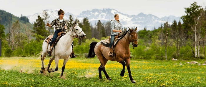 Confident plus-size woman riding Stoke upon Trent a horse through a field with a smile on her face.